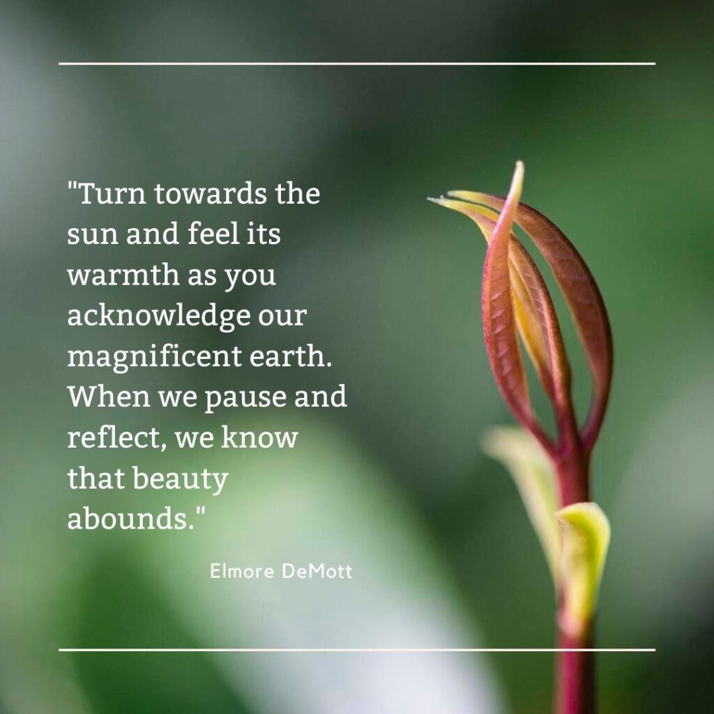 Turn towards the sun and celebrate the earth!